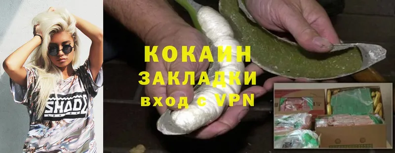 где купить наркоту  Ряжск  КОКАИН Fish Scale 