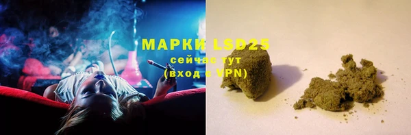 СК Новодвинск