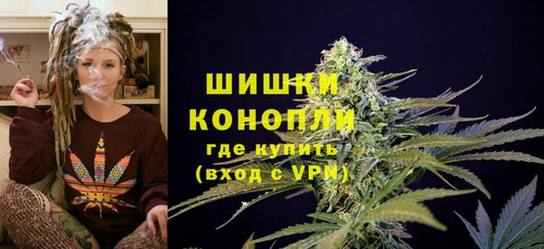 ПСИЛОЦИБИНОВЫЕ ГРИБЫ Нефтегорск