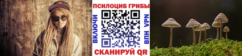 сколько стоит  Ряжск  blacksprut зеркало  Псилоцибиновые грибы прущие грибы 