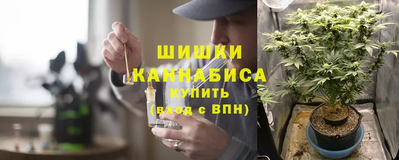 гидра сайт  Ряжск  Конопля SATIVA & INDICA  наркота 